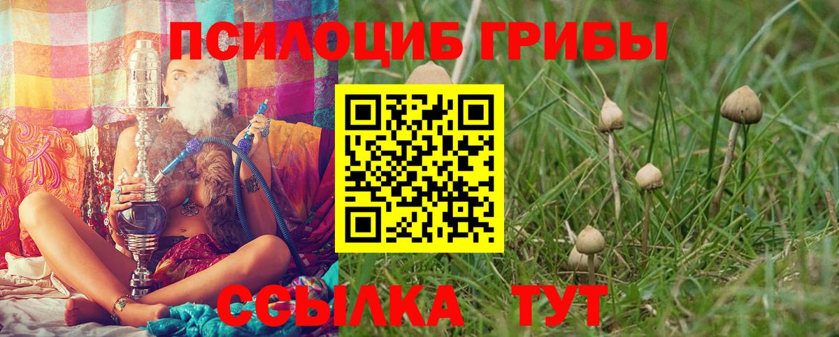Наро-Фоминск  Галлюциногенные грибы MAGIC MUSHROOMS  Вход с VPN 