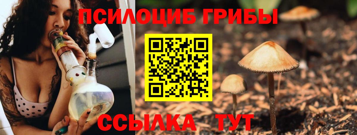 Псилоцибиновые грибы прущие грибы Наро-Фоминск